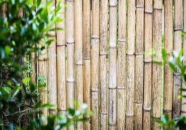 These are the things you need to know about green composites